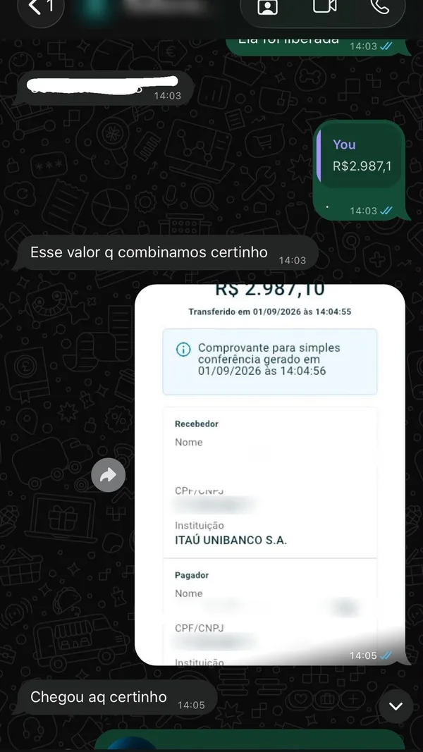 Pix de R$ 2.987,10 enviado a cliente